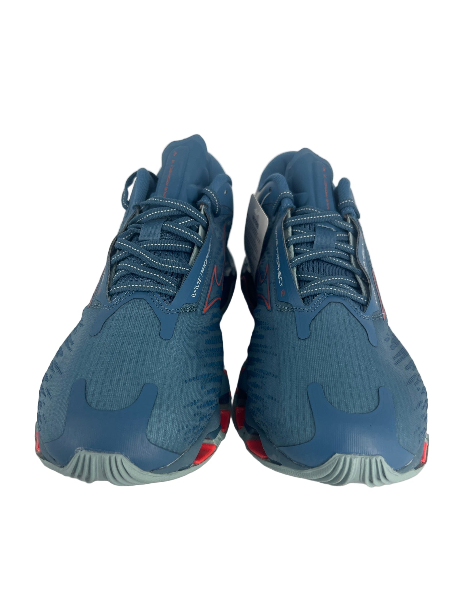 wave prophecy 12