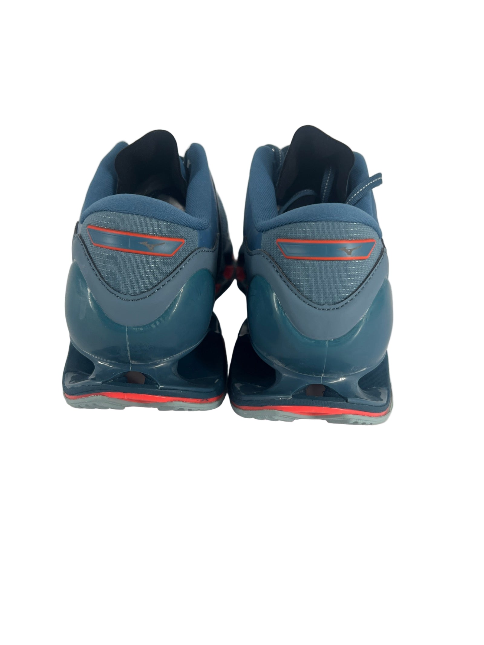 wave prophecy 12